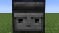 Observing side of the block (Image via Mojang)